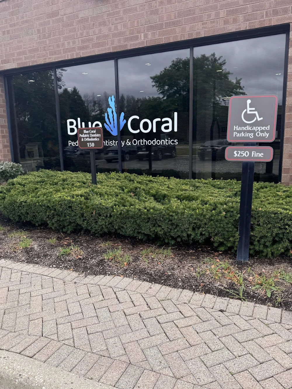 Blue Coral Pediatric Dentistry & Orthodontics - Buffalo Grove (formerly Pediatric Dental Associates) Picture 10