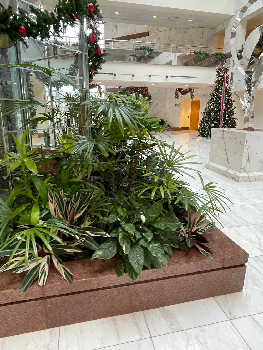 Buffalo Grove Orthodontics (formerly Weintraub & Eltink Orthodontics) Picture 6