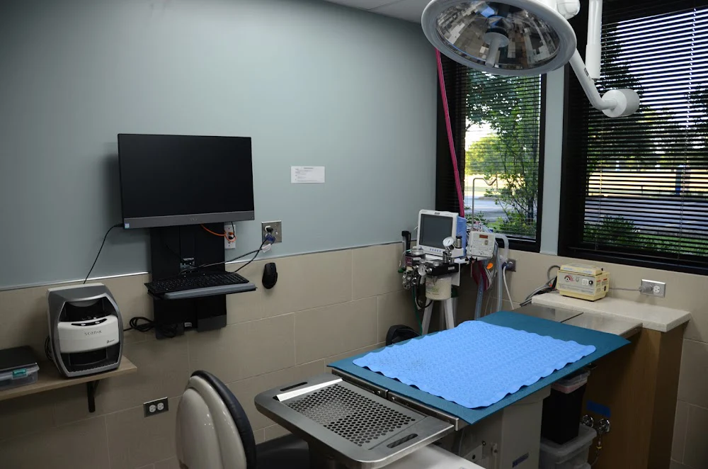 Veterinary Dental Center: S Juriga, DVM, DAVDC; L Sasser, DVM, DAVDC; K Kling, DVM, DAVDC; G Rutkauskas, DVM; MJ Hassan DVM Picture 3