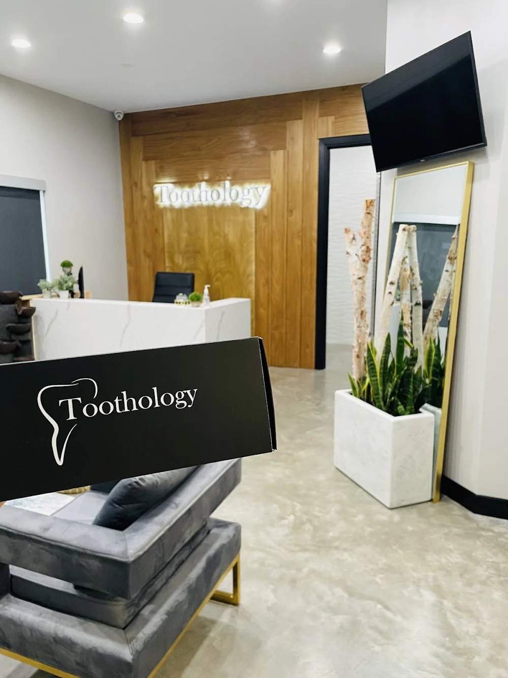Toothology Picture 4
