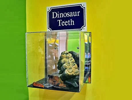 New England Kids Pediatric Dentistry, General Dentistry and Orthodontics Picture 6