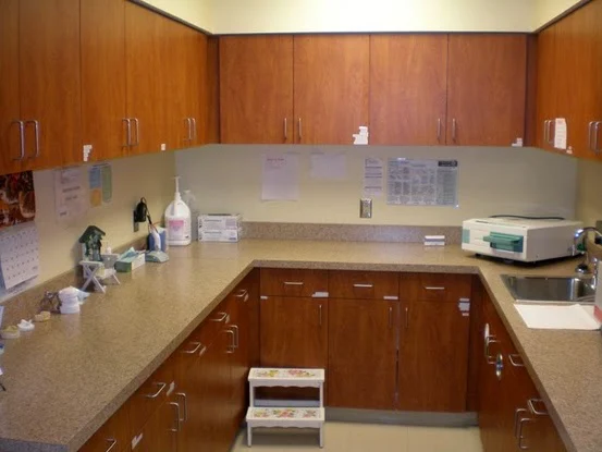 Care Dental Associates Picture 3