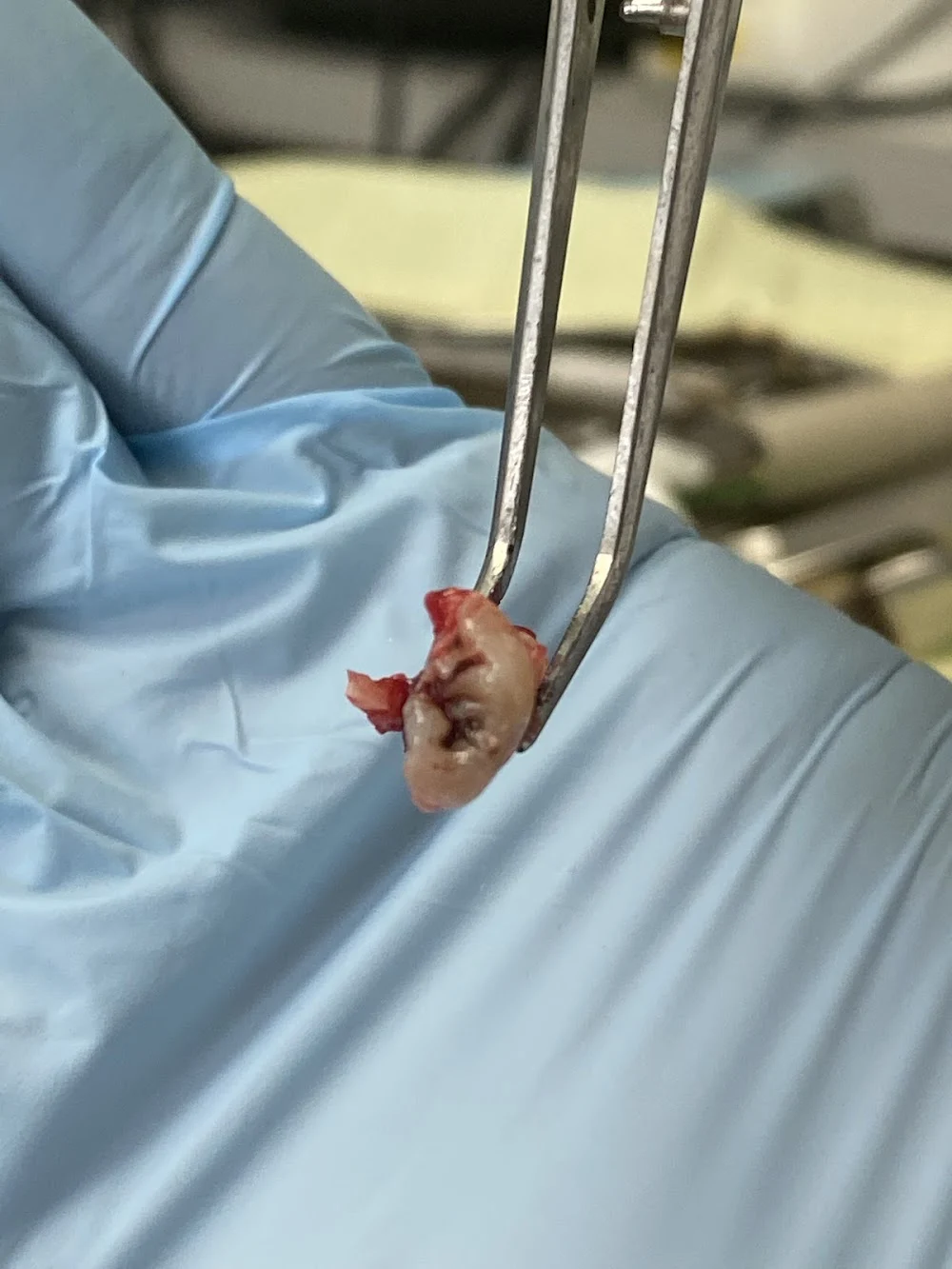 Armando Fernandez DDS Picture 1