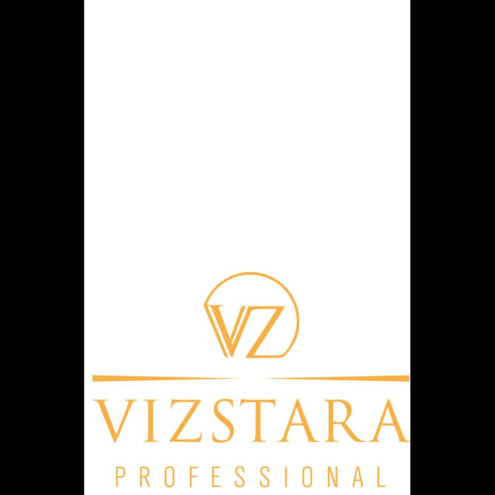 Vizstara Picture 4