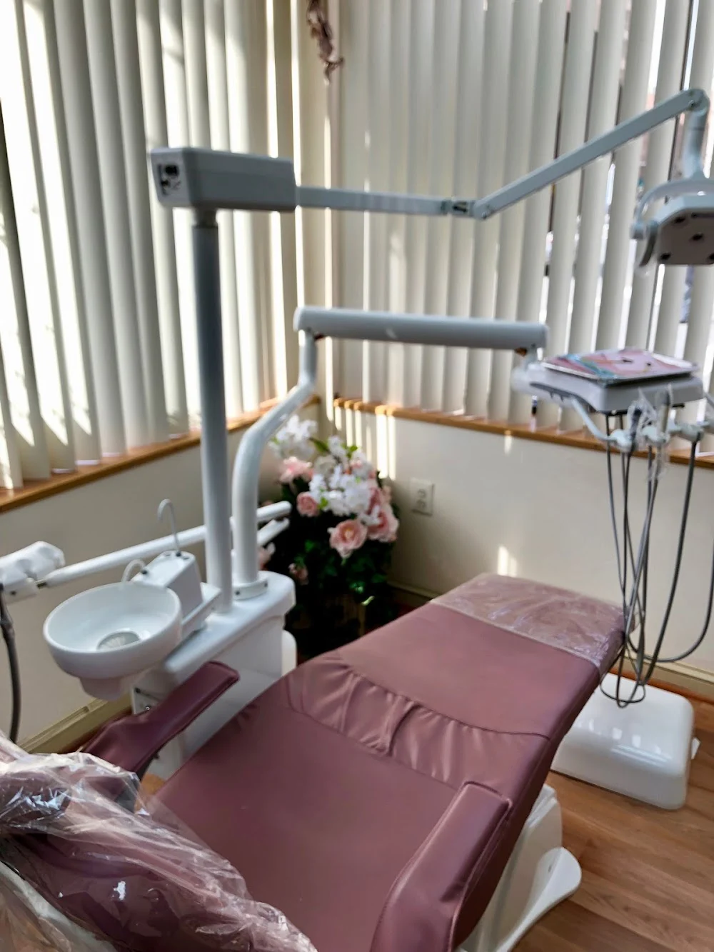 Mary Fares Mallouhi, DDS Picture 4