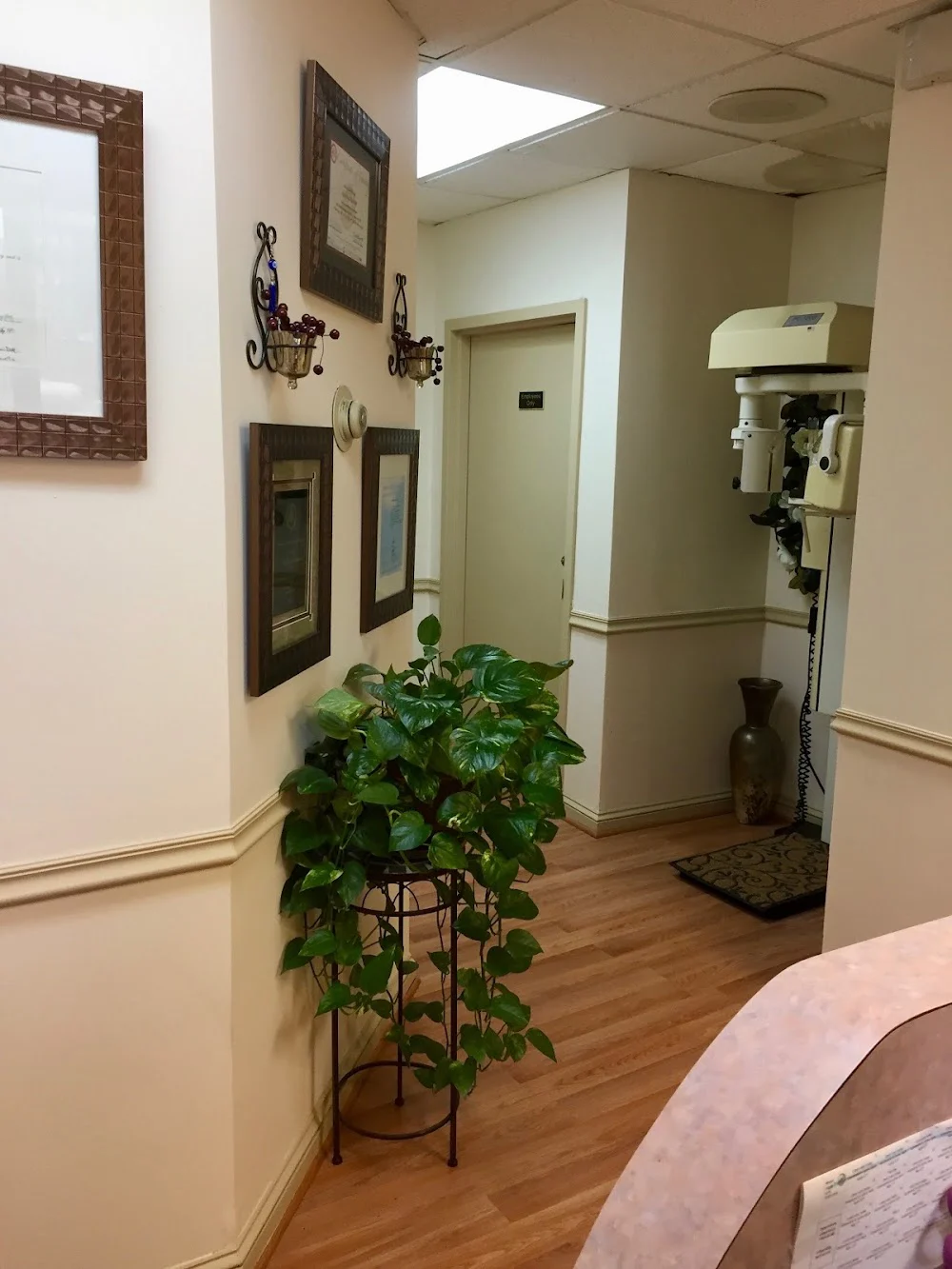 Mary Fares Mallouhi, DDS Picture 8