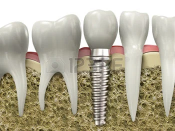 Dr. Nataliya Donskaya, DDS Picture 2