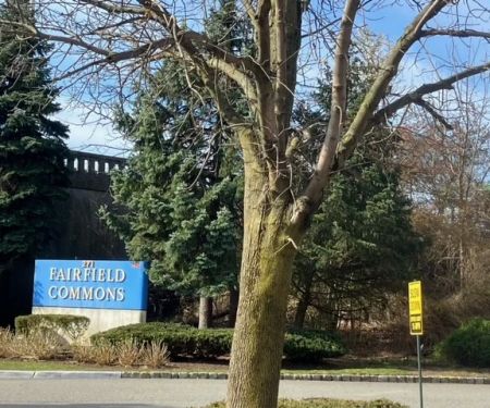 A to Z Family Dentistry, PC