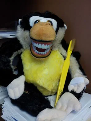 Twin Cities Dental Picture 7