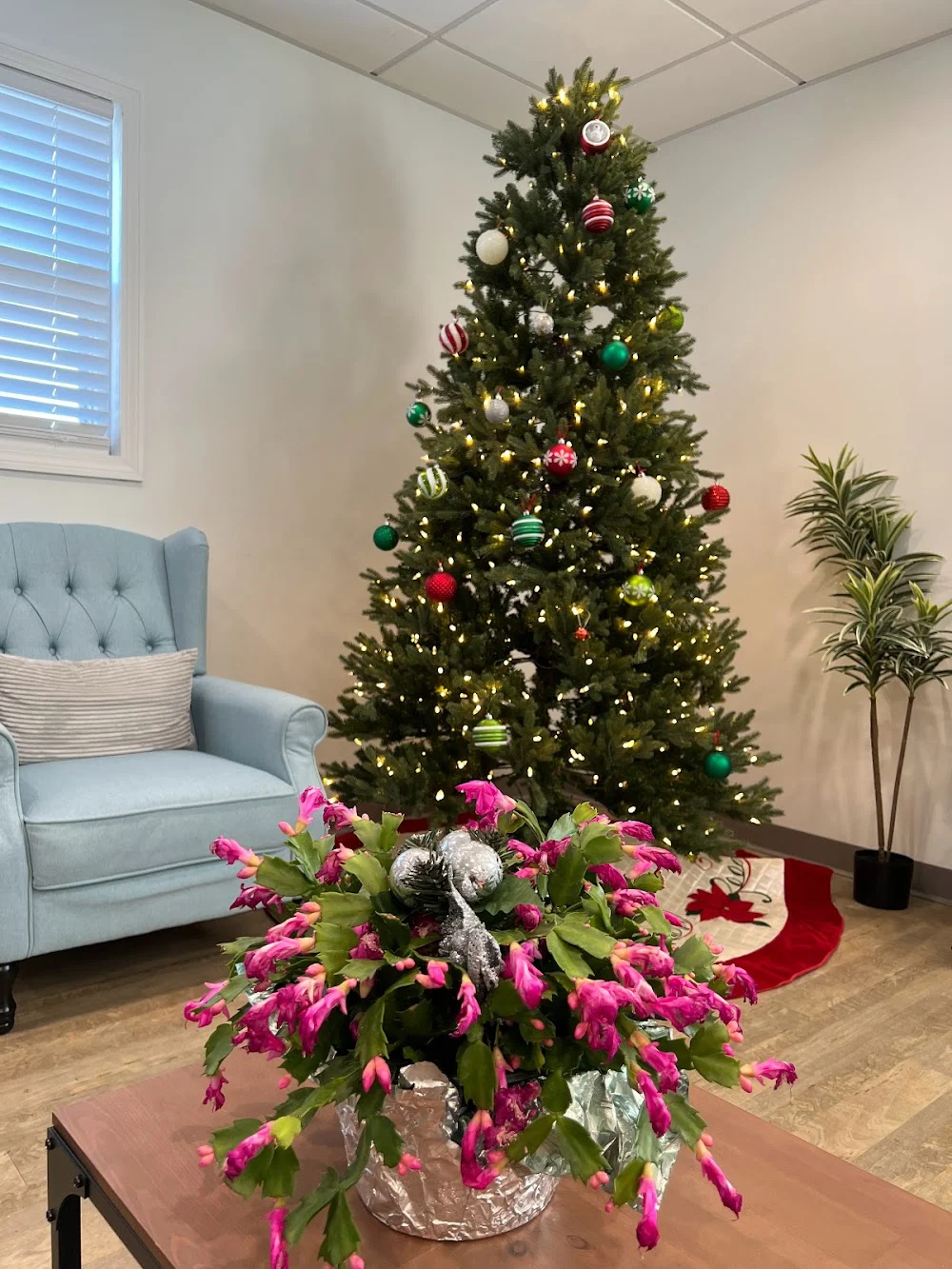 Shrewsbury Dentist - Union Dental - MA Picture 6