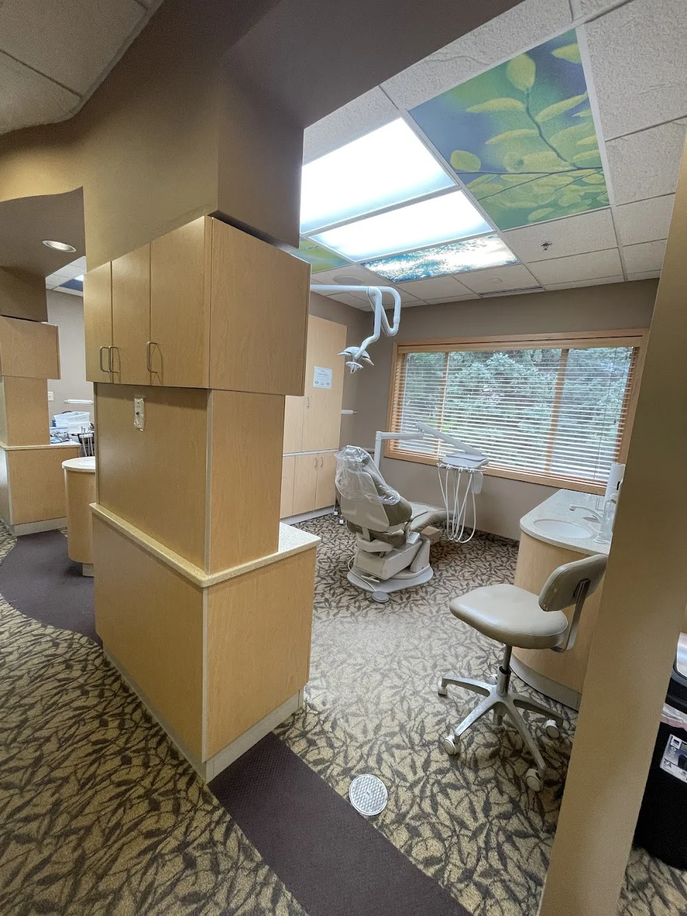 Woodland Family Dentistry : Dr. Rebecca DeWolf Felices, DMD Picture 6