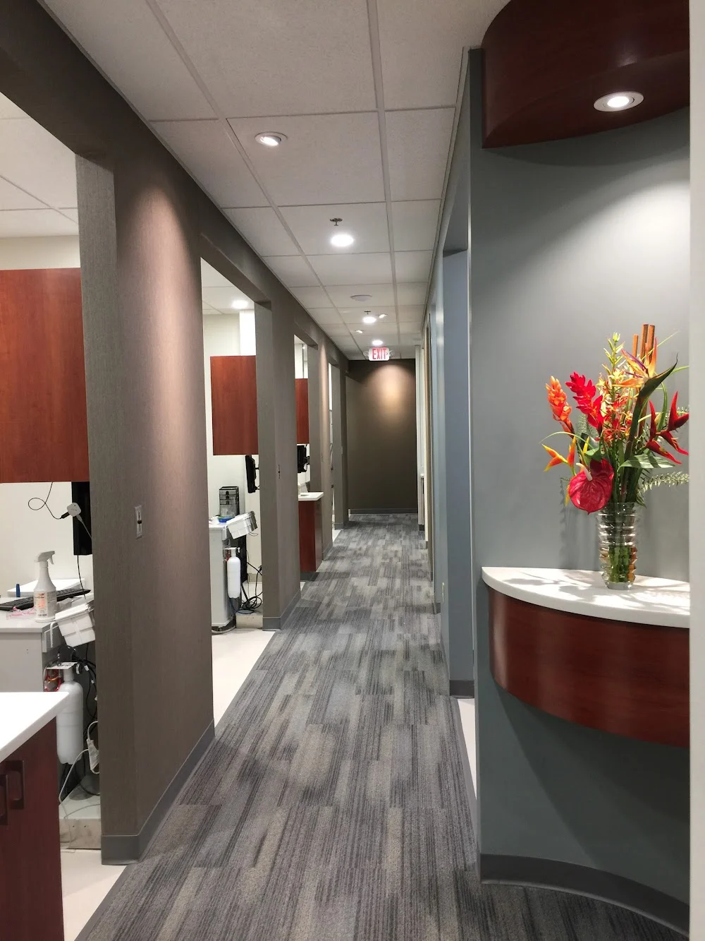 Maple Brook Dental of MN Picture 4