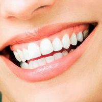 Plum Grove Family Dental ico