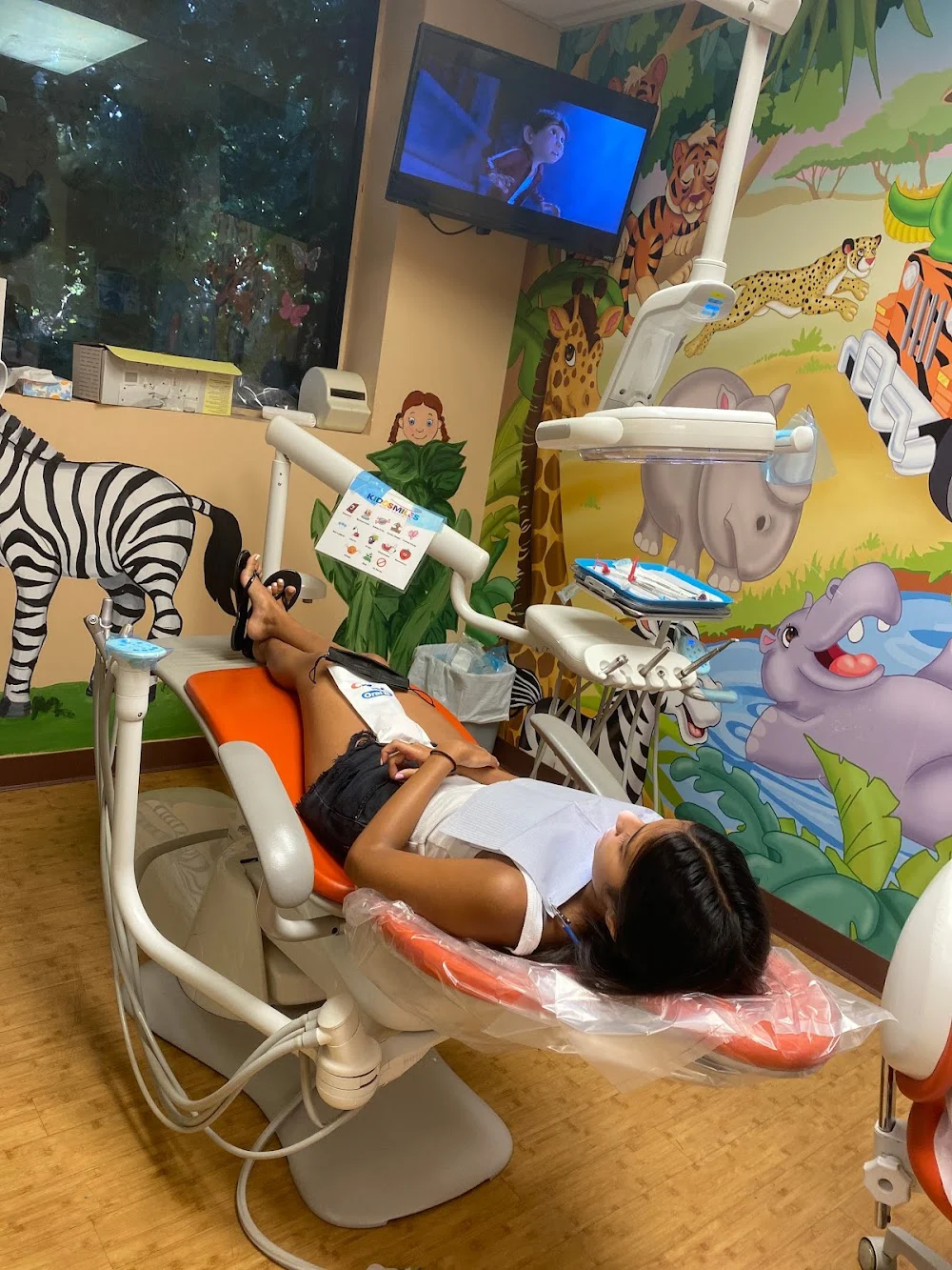 Kiddsmiles Pediatric Dentistry - Syosset Picture 3