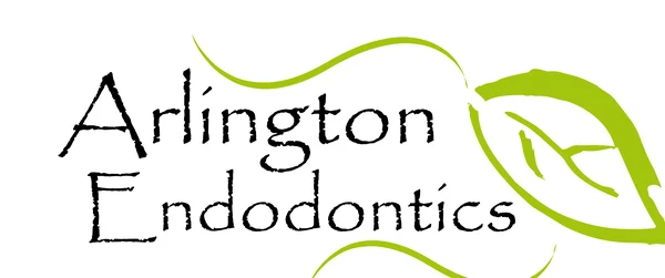 Arlington Endodontics Picture 8