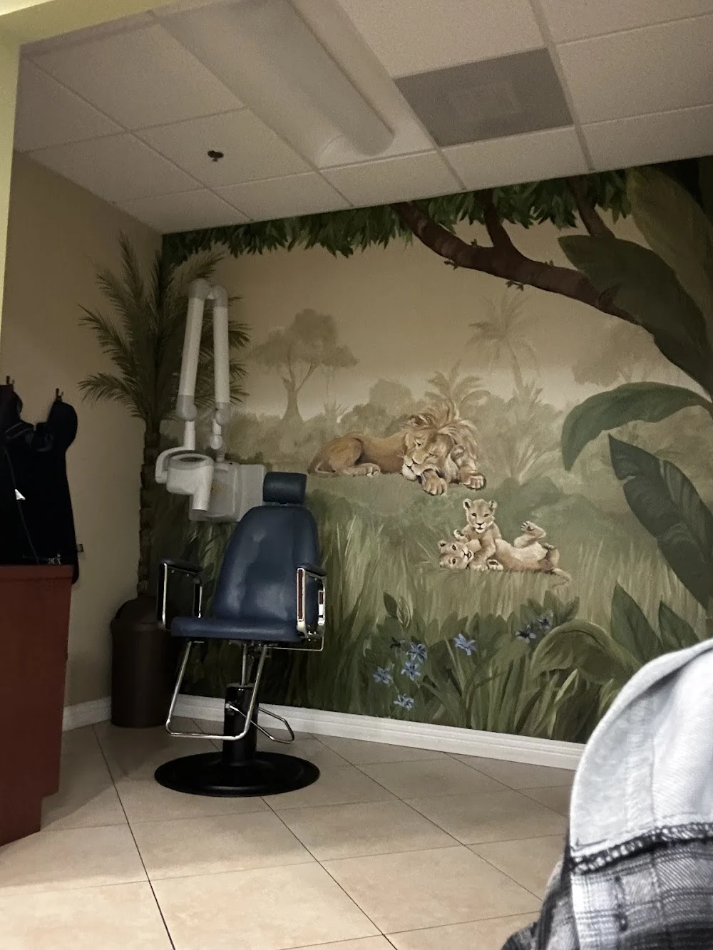 Happy Teeth Children's Dentistry: Irene Zaki, DDS Picture 3