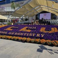 Loma Linda University School of Dentistry ico