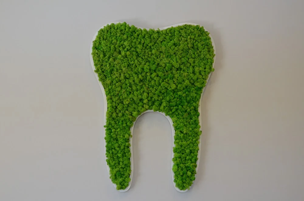 Twin Dental Picture 9