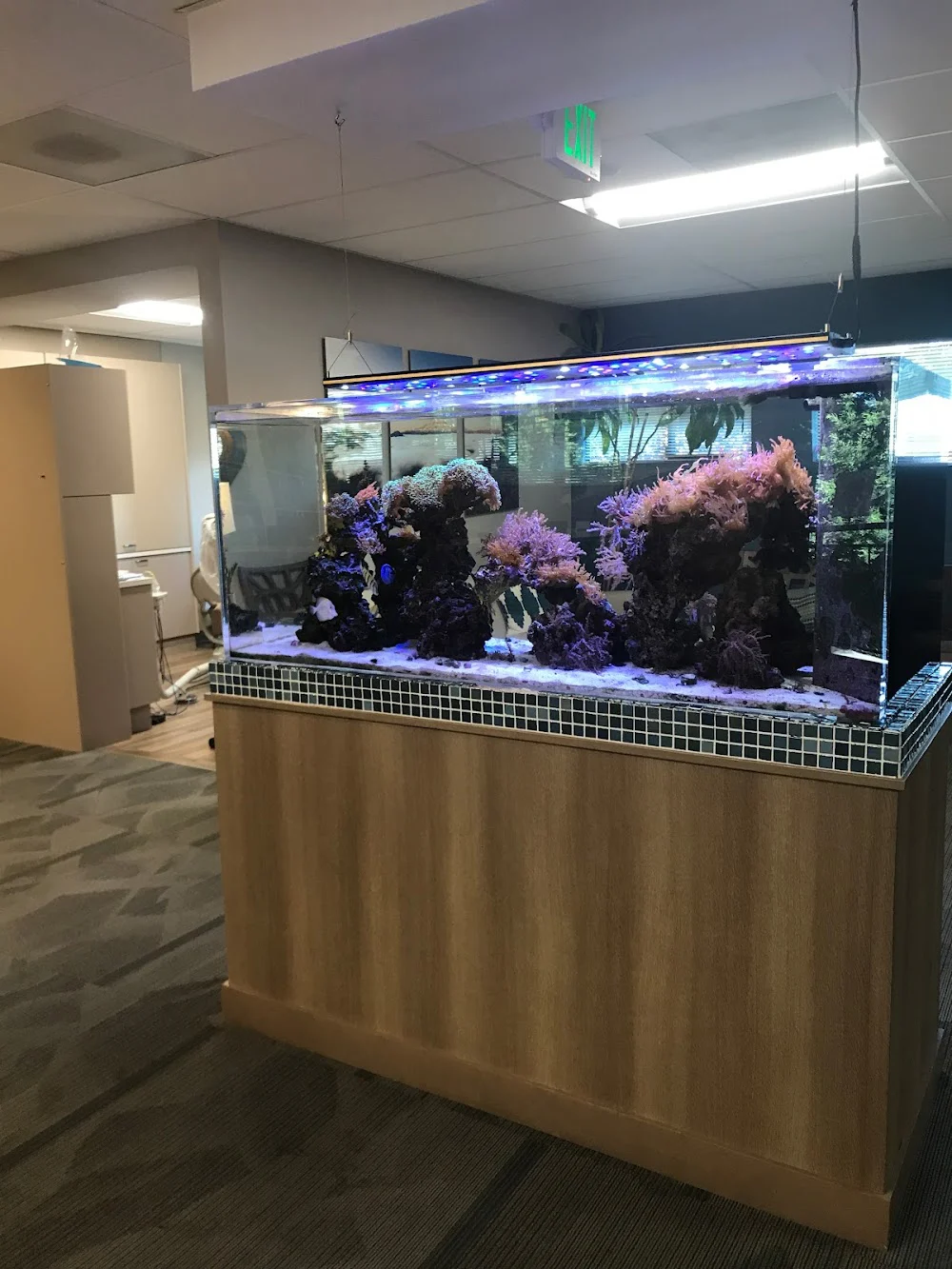 Gig Harbor Family Dentistry Picture 1