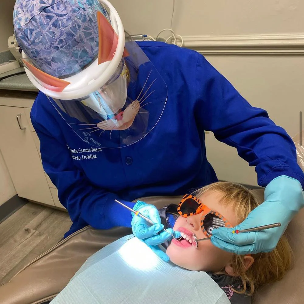 Pelham Family Dental Arts PC: Shay Markovitch, DDS Picture 4