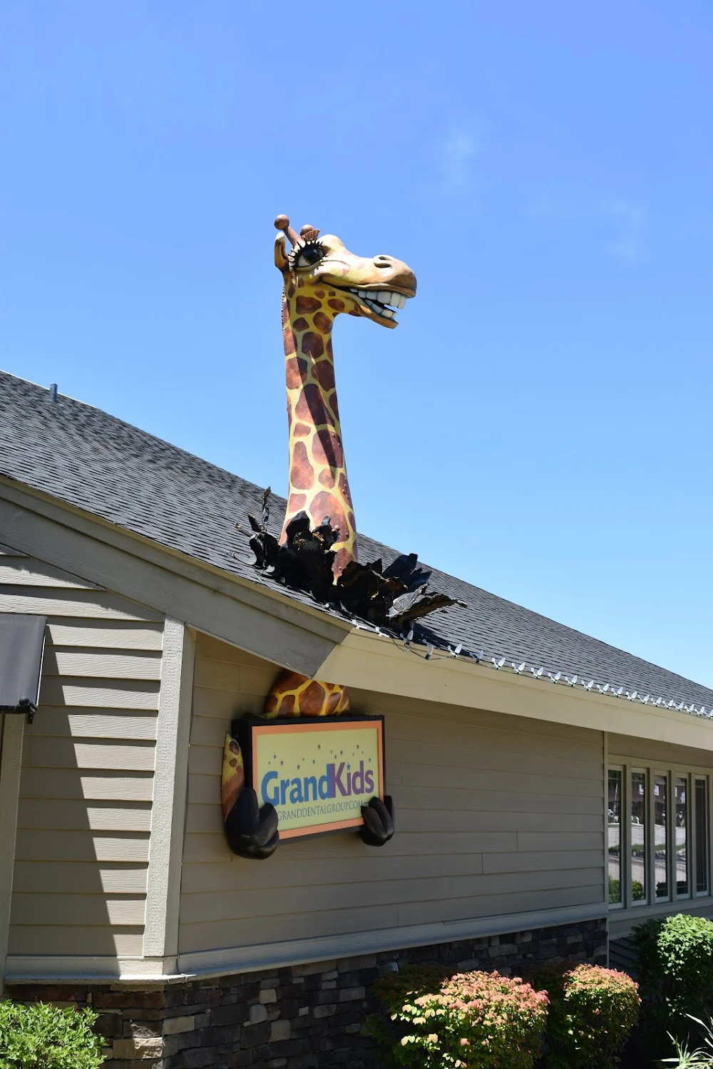 Grand Dental - Aurora Picture 1