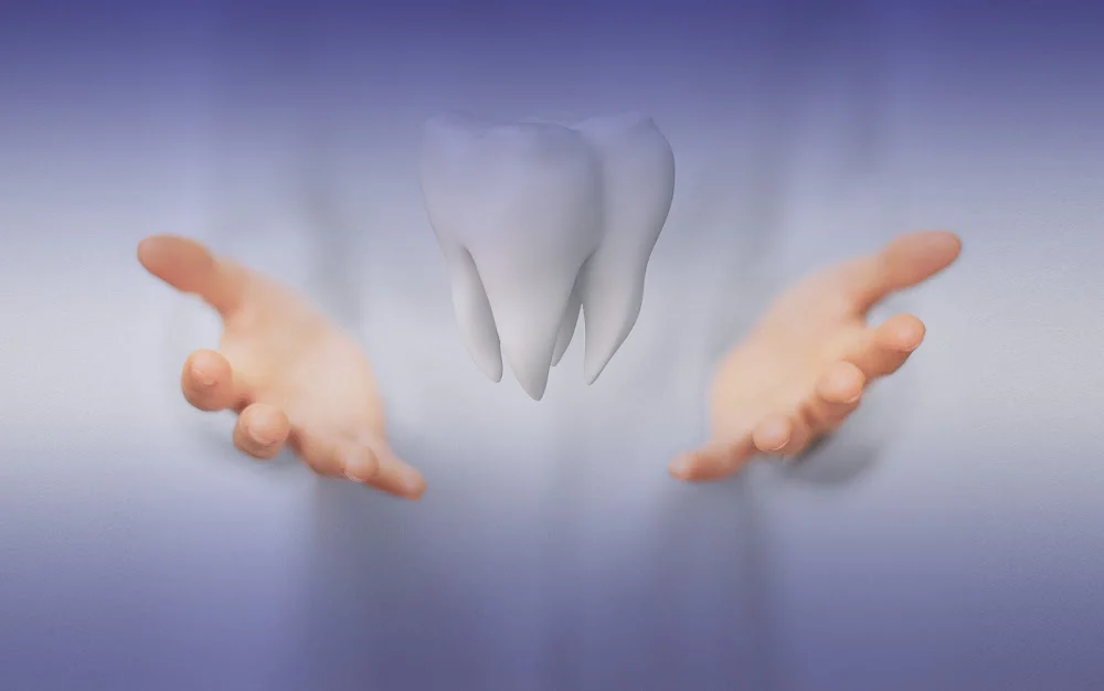 Onet Dentistry Picture 8