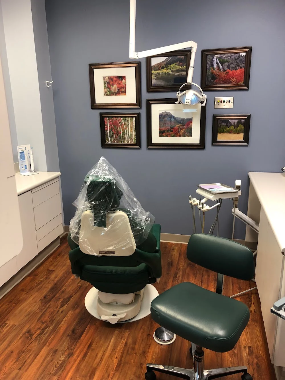 Dr. Susan R. Richardson Overstreet, DDS Picture 2