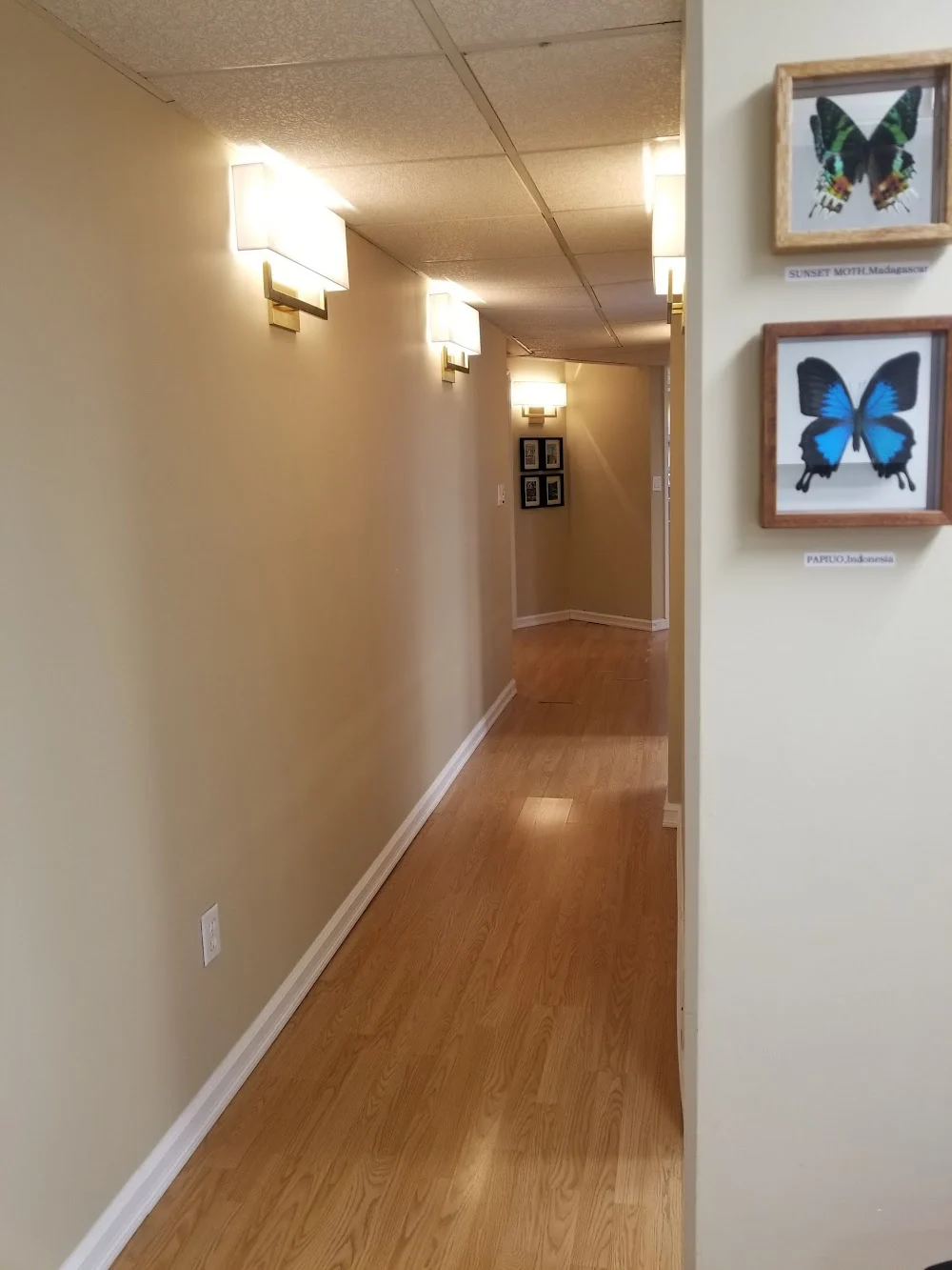 Dobbs Ferry Dental, PLLC Picture 7