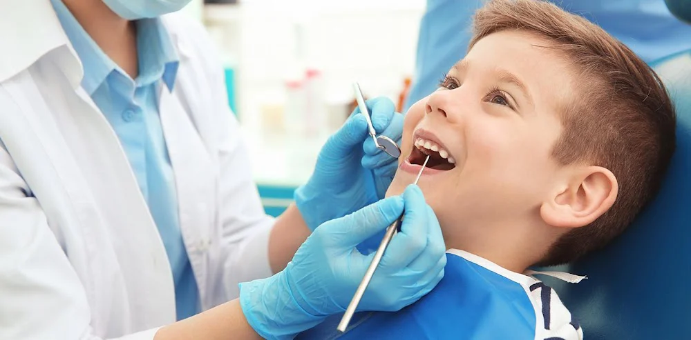 HP Dentistry PC Picture 3