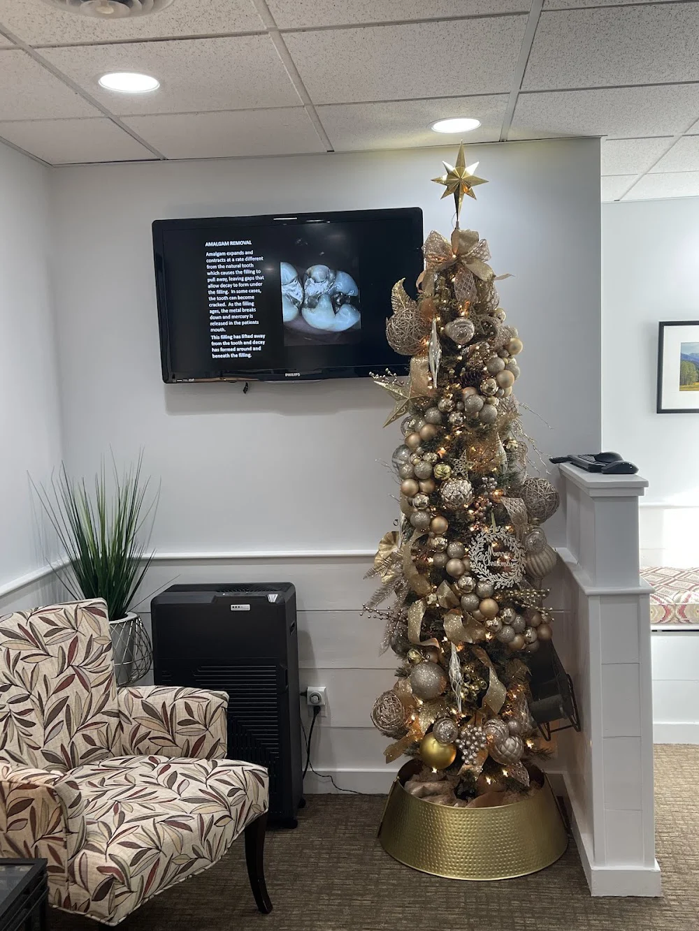 Dentistry by Dr. David - Holistic and Zirconia Implant Dentist Picture 9