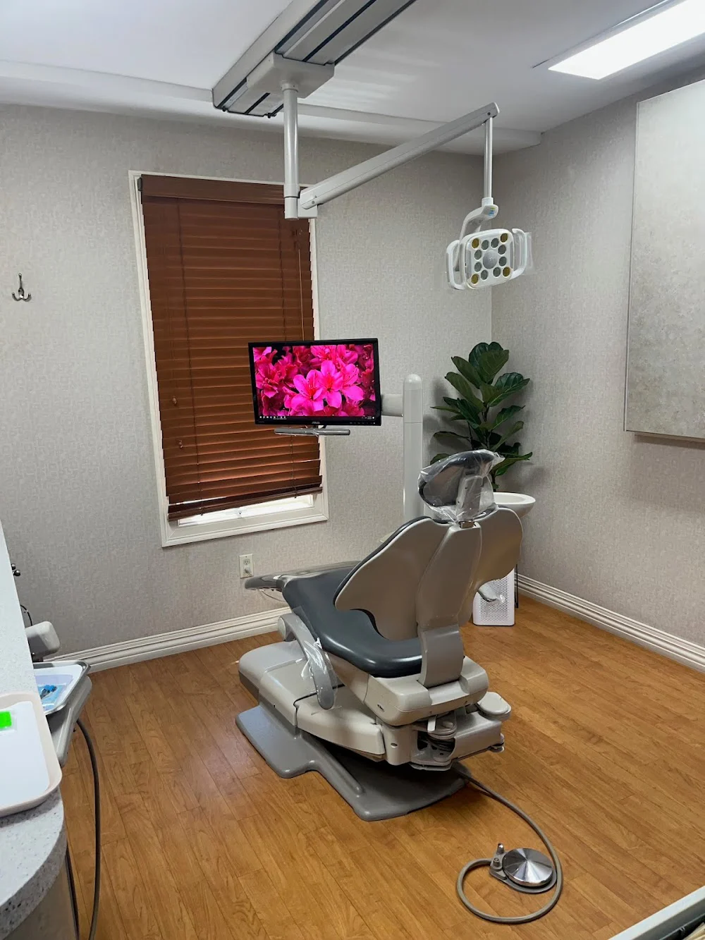 Kalmar Gregory, DDS Picture 10