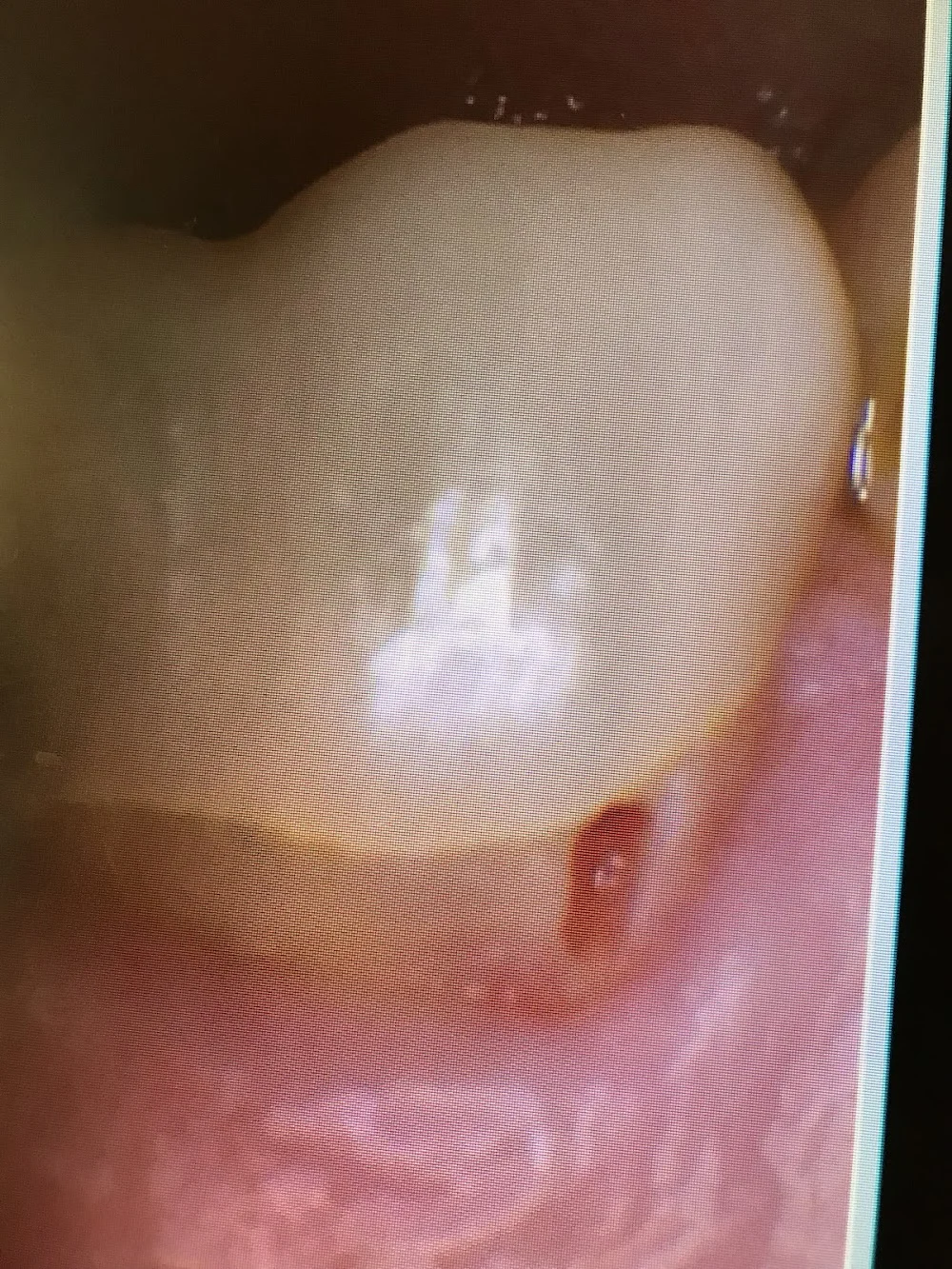 Surprise Endodontics Picture 6