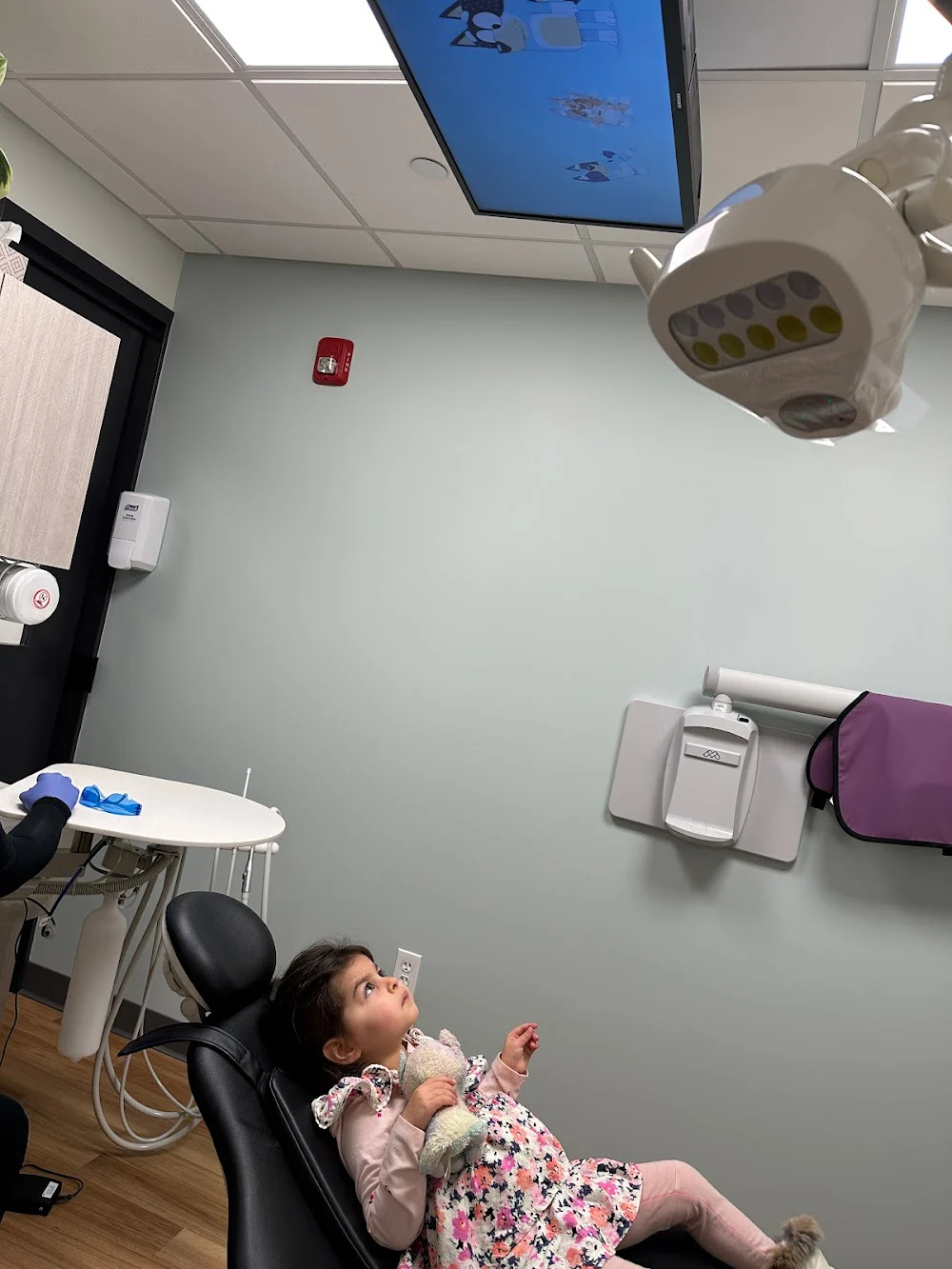 Restoration Smiles: Adult & Pediatric Dentistry Picture 9