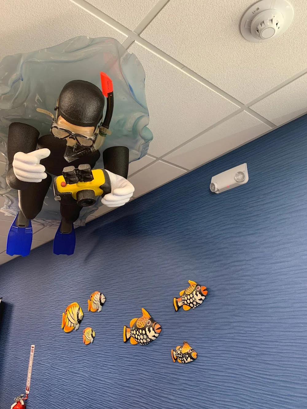 Adelberg Montalvan Pediatric Dental - Massapequa Park Picture 8