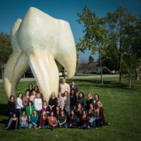 Puntillo & Crane Orthodontics ico
