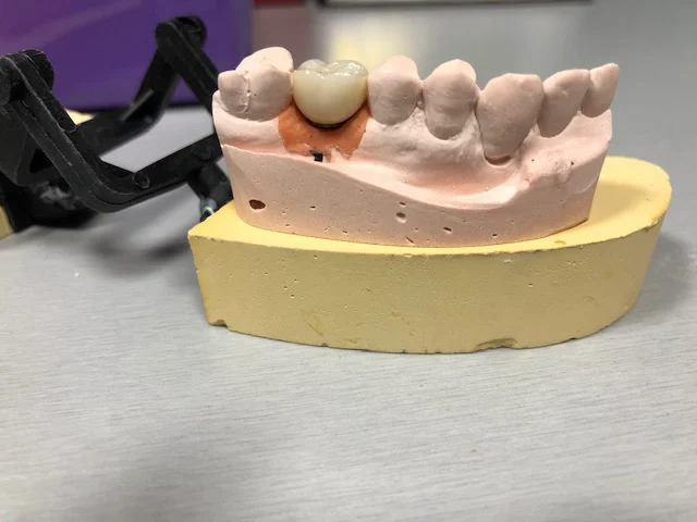 Vitruvian Dental Arts Picture 3