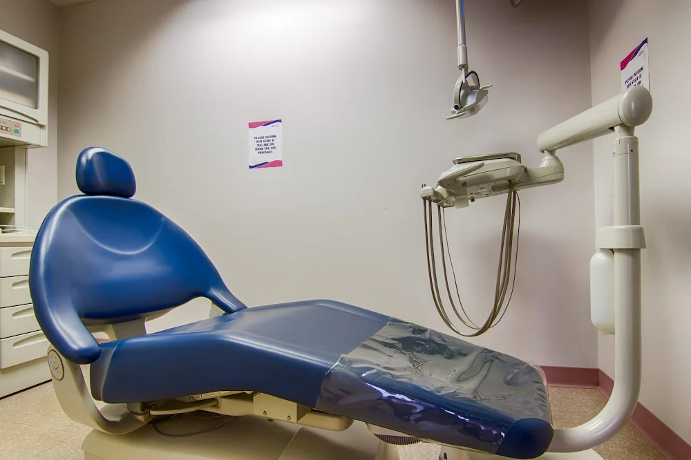 Pink Elephant Dental Picture 2