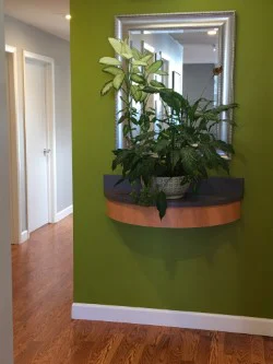 Smile Dental Works Picture 5