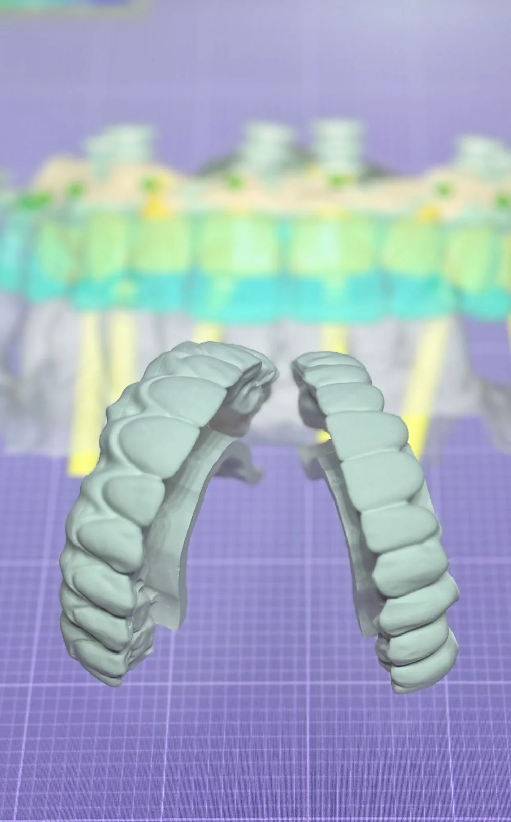 Star Dental Lab Picture 8