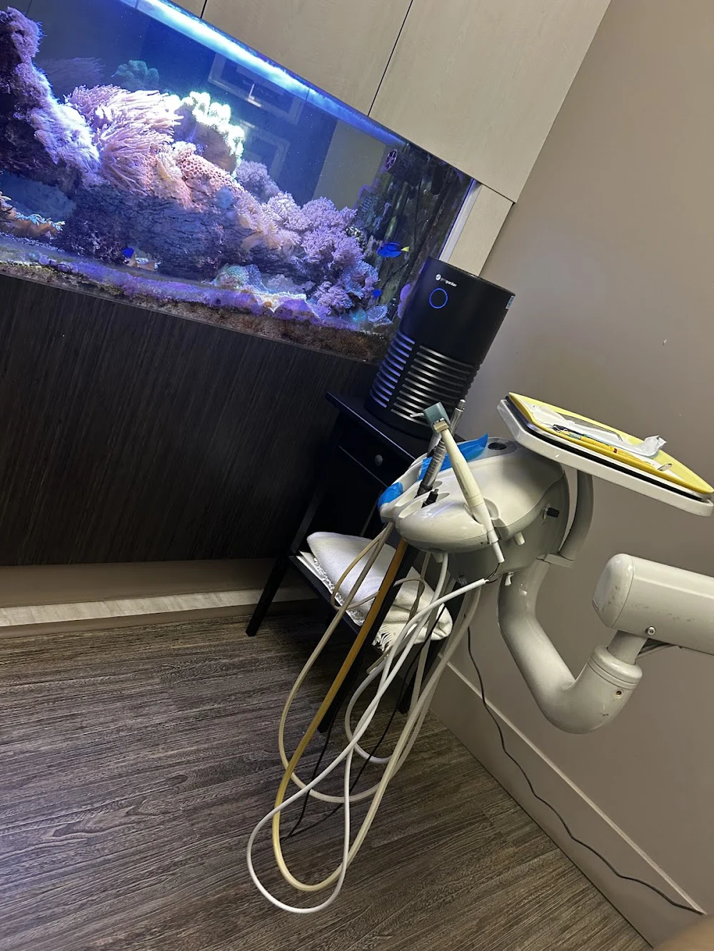 Tooth Spa Picture 3