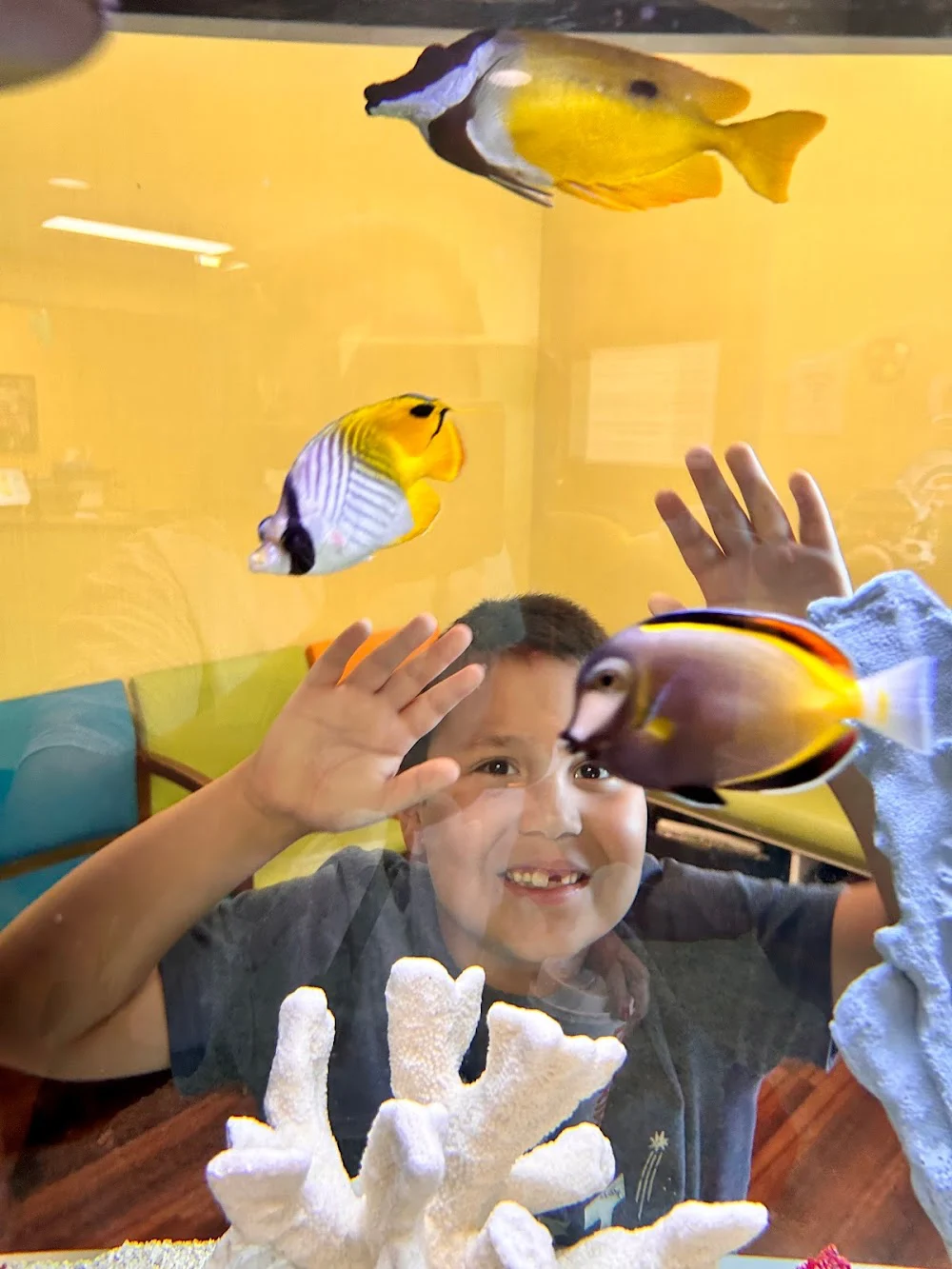 McElroy Pediatric Dentistry Picture 2