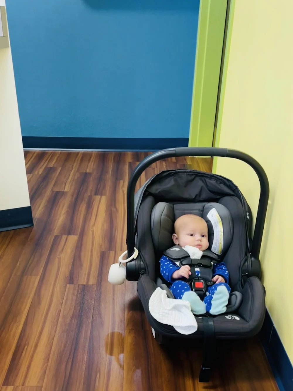 McElroy Pediatric Dentistry Picture 10