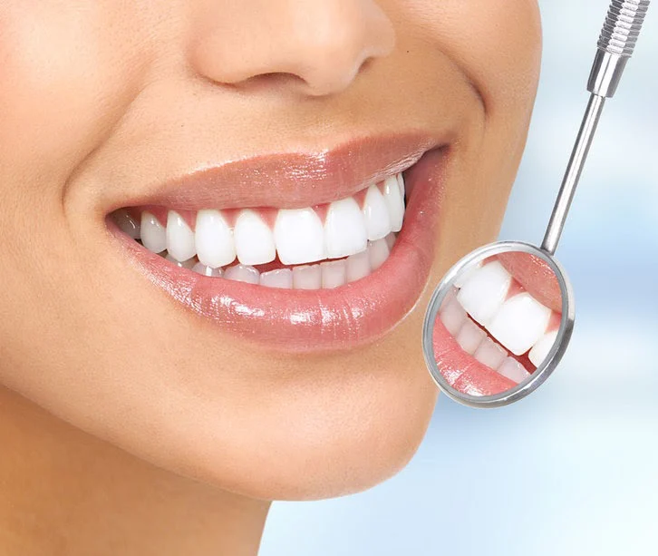 Castor Dental Care Picture 2