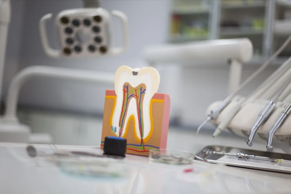 Castor Dental Care Picture 1