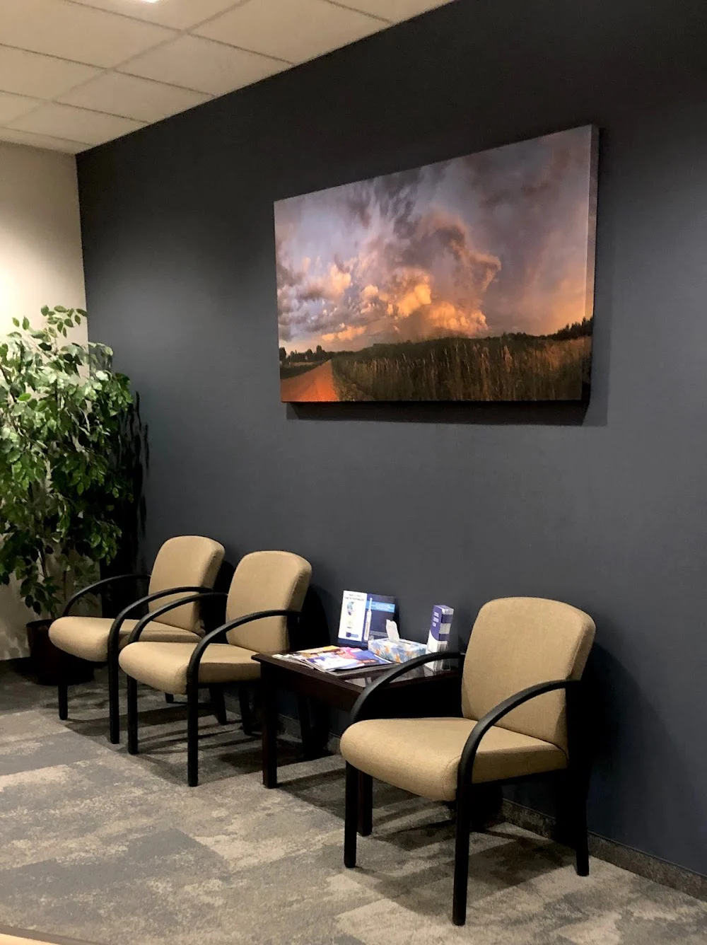 Woodbury Family Dentists Picture 2