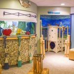 Duxbury Children's Dentistry