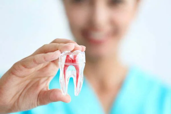Georgetown Dental Partners Picture 6