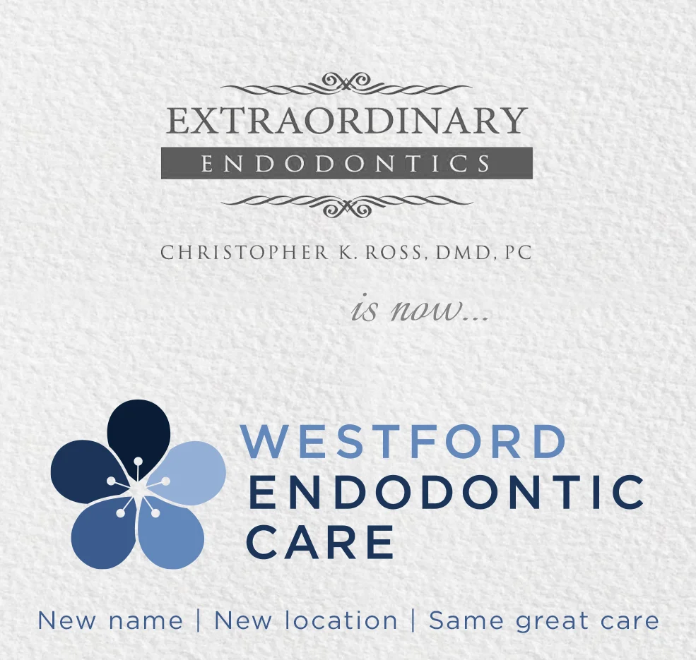 Westford Endodontic Care Picture 10