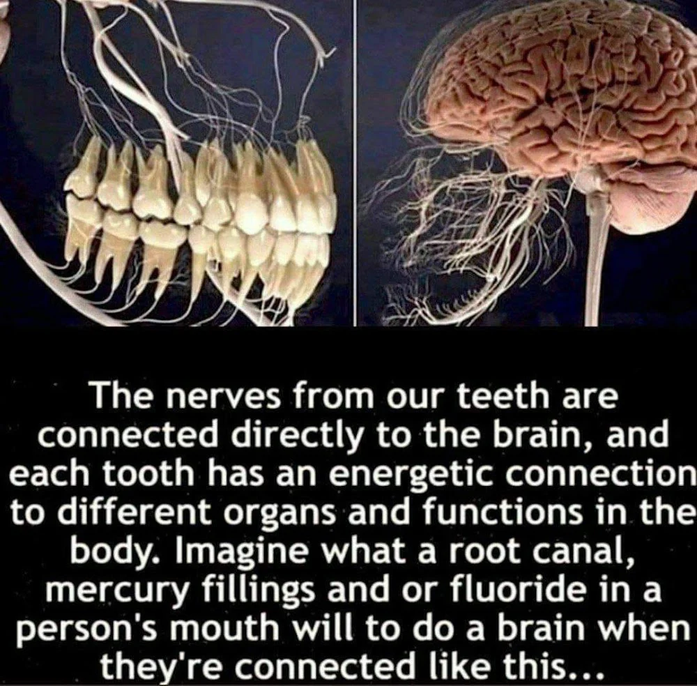 Dr. Angela Paros DDS Picture 8