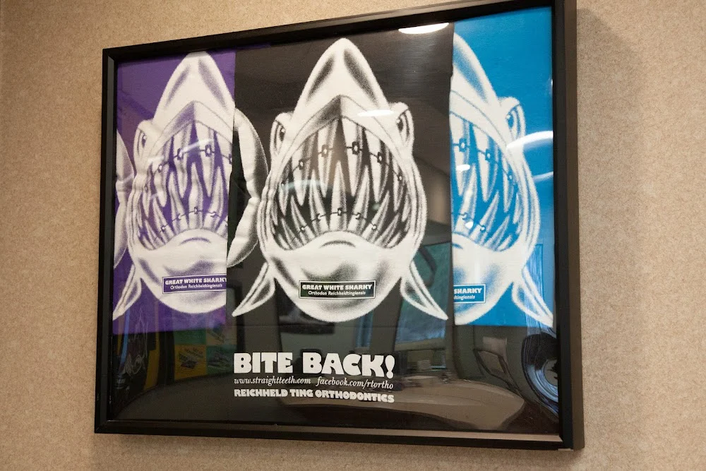 Reichheld Ting Orthodontics - Westford Picture 5